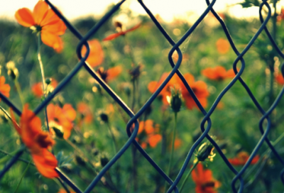 ​兔年除夕跨年经典句子 兔年拜年祝福语(精选120句)