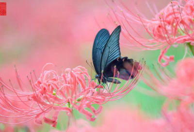 ​经典暖心的母亲节祝福语文案(精选90句)