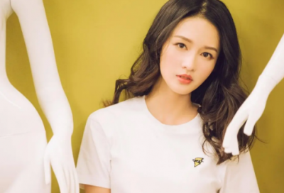 ​中班教案《丑小鸭》反思