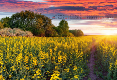 ​最能表达忧伤的网名55个