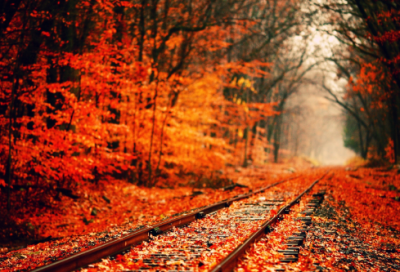 ​网络名字符号