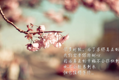 ​炫舞宠物名字大全