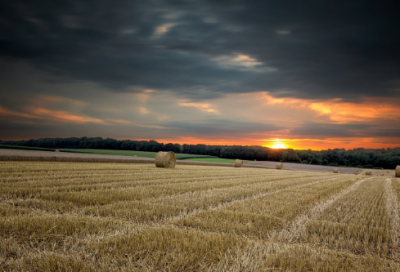 ​游戏可爱名字