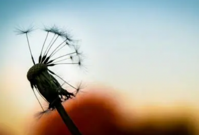 ​森系好听的游戏名字