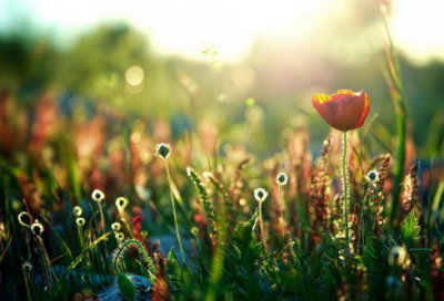 ​成熟稳重的网名男生70个