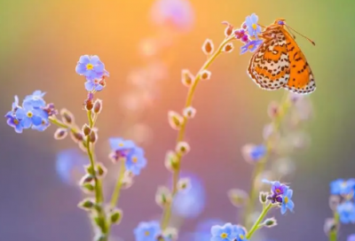 ​吃鸡聊天群名字