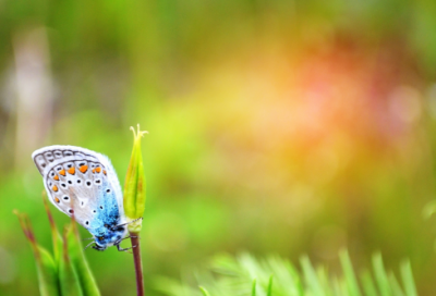 ​女游戏角色名字