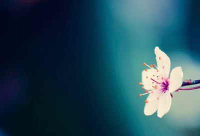 ​优雅的军团名字