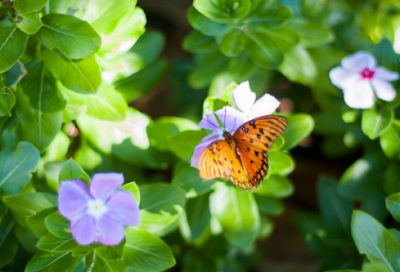 ​四个字好听有内涵的网名大全65个