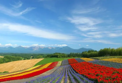 ​英雄联盟名字符号