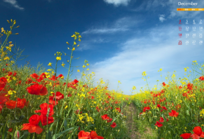 ​梦幻西游名字符号