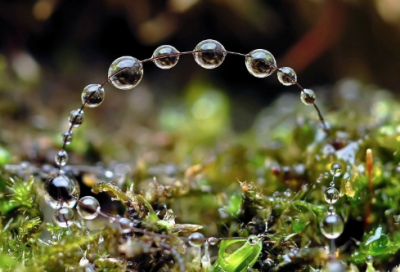 ​吃鸡网名大全55个