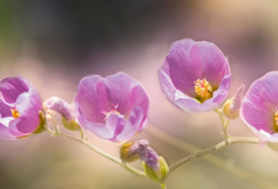 ​小学生谜语简单的3052个