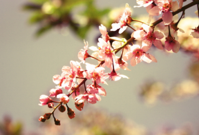 ​儿童谜语大全8一10岁最难3058个