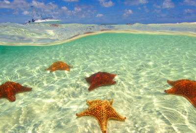 ​小学生谜语大全合集3046个