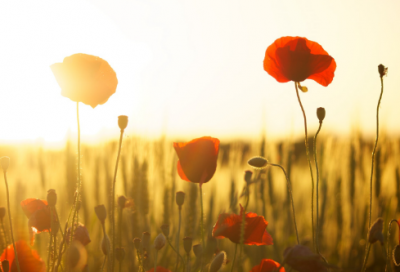 ​儿童谜语大全8一10岁含答案3039个