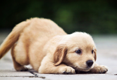 ​幼儿园谜语答案3056个