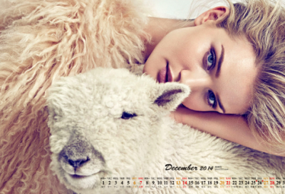 ​晚上好的优美句子 晚上好问候语经典精选(精选30句)