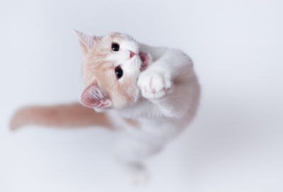 ​励志故事及感悟大全（励志的故事简短及感悟）