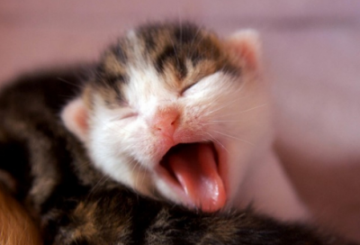 ​山海经原文及翻译（山海经30个神话故事）