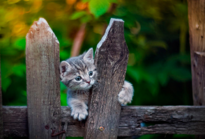 ​35个晨会激励小故事及感悟（分享正能量的小故事）