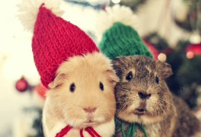 ​小班故事大全53个简单（53个简短小故事）