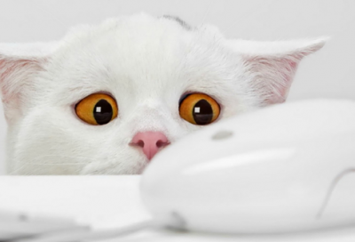 ​成语故事简短（20个历史典故的成语故事）