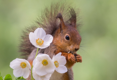 ​幼儿早教故事有哪些（睡前故事大全）