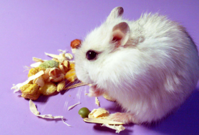 ​幼师晨会分享小故事（最适合晨会分享的小故事）