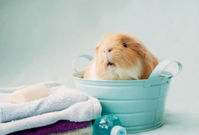 ​有故事的成语大全（关于故事的四字成语）