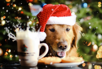 ​鲁滨逊漂流记摘抄笔记及感悟（故事内容及教人道理）