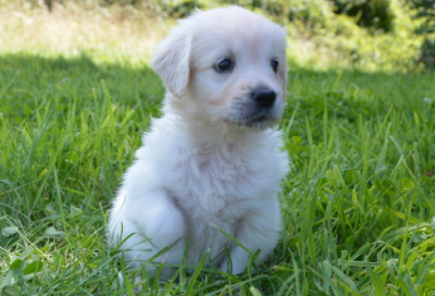 ​趣味数学小故事20字左右（9个中外数学家的小故事）