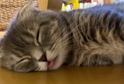 ​中国寓言故事有哪些（经典中国寓言故事大全）