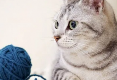 ​出自古代寓言的成语有哪些（源自于寓言故事的成语大全）