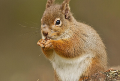​关于庄子的经典故事（庄子的小故事及哲理）