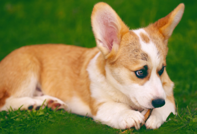 ​我国四大民间传说是哪四个（四大民间故事的目录）