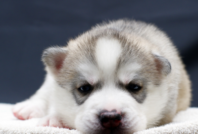 ​中国四大民间故事是哪四个（四个著名的民间故事）