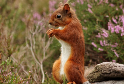 ​100个超甜超萌的小故事集合（哄对象睡觉的长篇故事大全）