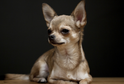 ​世界神话故事有哪些（世界神话故事全集内容）