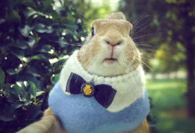 ​33个经典希腊神话故事有哪些（希腊神话短篇小故事大全）