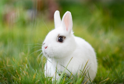 ​名人有关读书的故事（书伴随成长的名人故事）