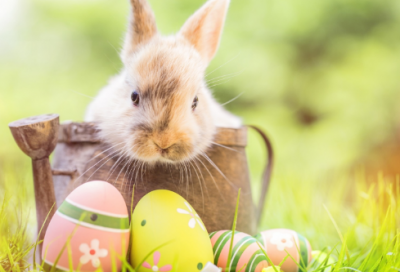 ​中国经典歇后语（历史人物管仲的故事）