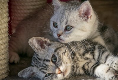 ​15个让人流泪的小故事（让人哭到崩溃的短故事）