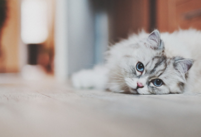 ​超感人的爱情故事大全（催人泪下的情感文章）