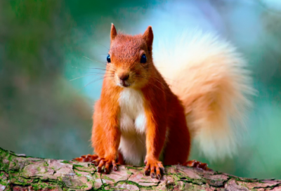 ​经典成语故事富有哲理（阅读50个成语故事）