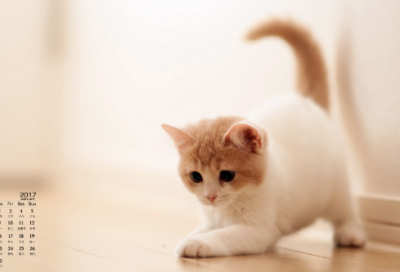 ​童话故事有哪些故事（5个经典童话故事）