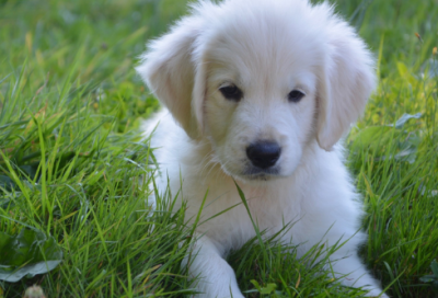 ​早会分享小故事简短（10篇短篇故事欣赏）