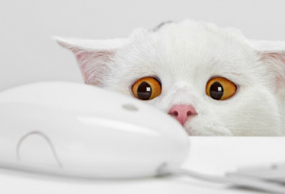 ​给女朋友讲的睡前故事（甜到炸的暖心爱情故事）