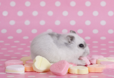 ​蒲松龄聊斋志异简介（聊斋志异10篇故事）