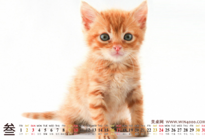 ​出自寓言故事的成语有哪些（来源于寓言故事的成语）